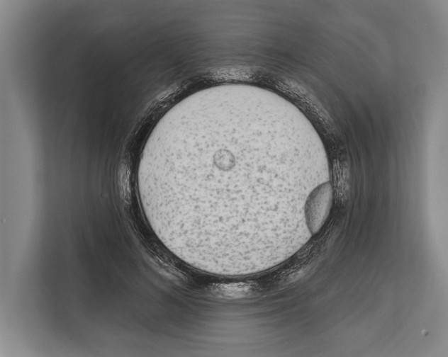X0000112180692200909181434
