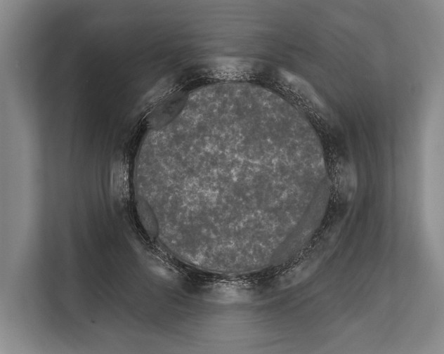 X0000112180696200909181434