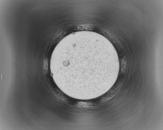 X0000112180699200909181434