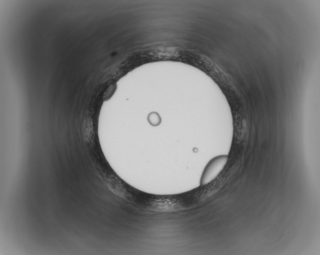 X0000112180704200909181434