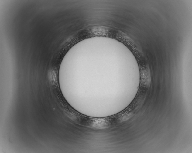 X0000112180705200909181434