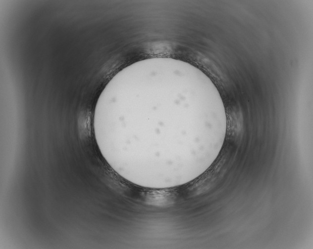 X0000112180717200909181433