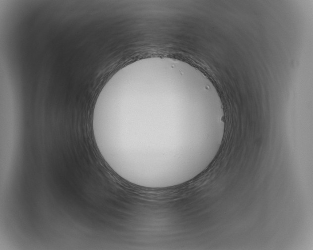 X0000112180720200909181433