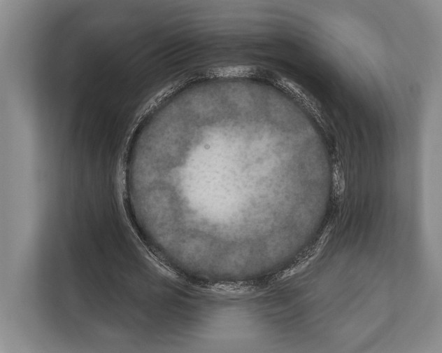 X0000112180725200909181433