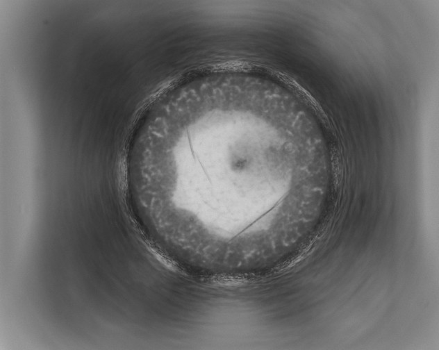 X0000112180729200909181433