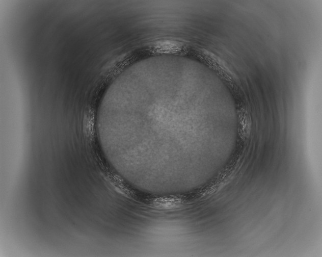 X0000112180745200909181433