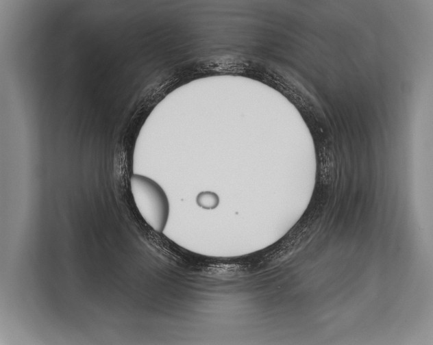 X0000112180748200909181433