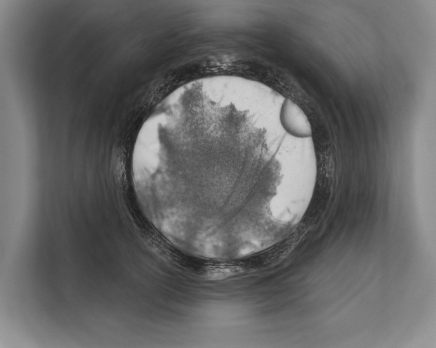 X0000112180754200909181433
