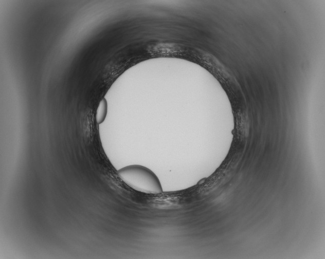 X0000112180760200909181433