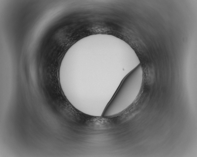 X0000112180762200909181433