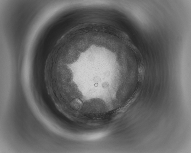 X0000112180765200909181433