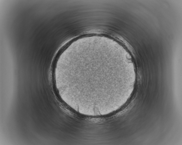 X0000112180779200909181433