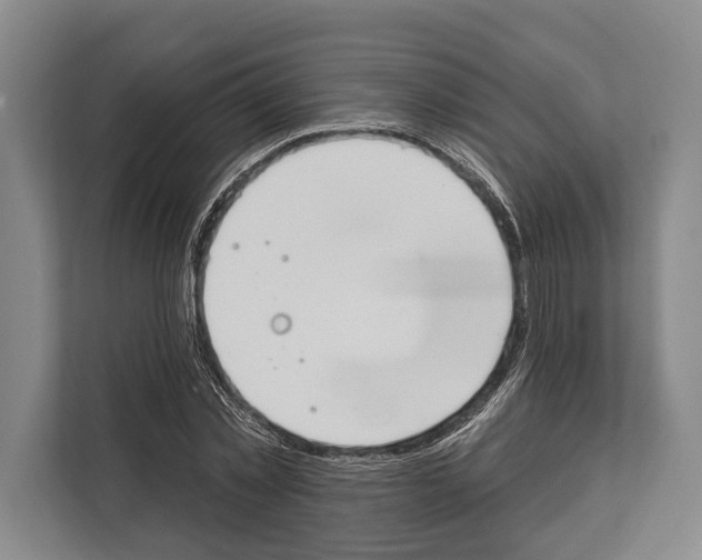 X0000112180781200909181433