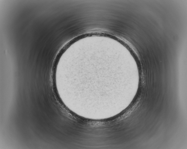 X0000112180783200909181433