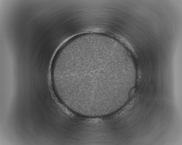 X0000112180784200909181433