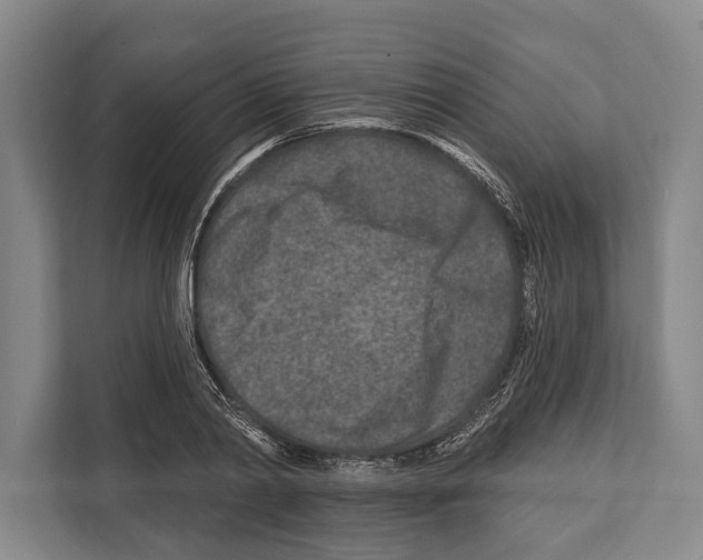 X0000112180790200909181432
