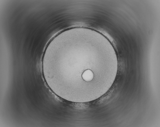 X0000112180807200909181432