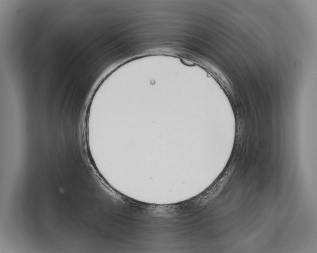 X0000112180808200909181432