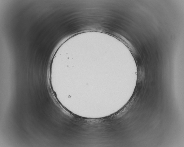 X0000112180812200909181432