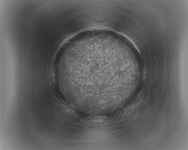X0000112180823200909181432