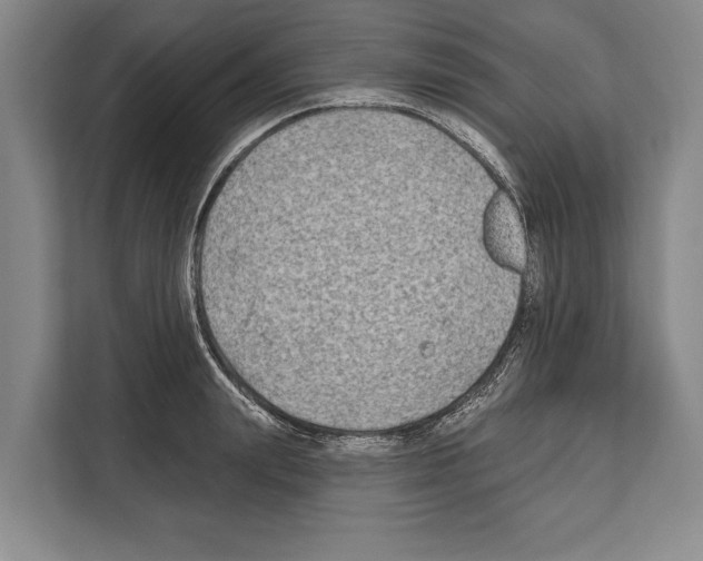 X0000112180847200909181432