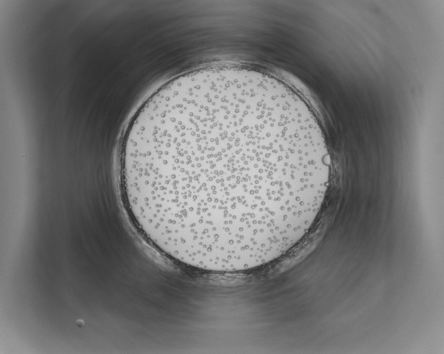 X0000112180859200909181432