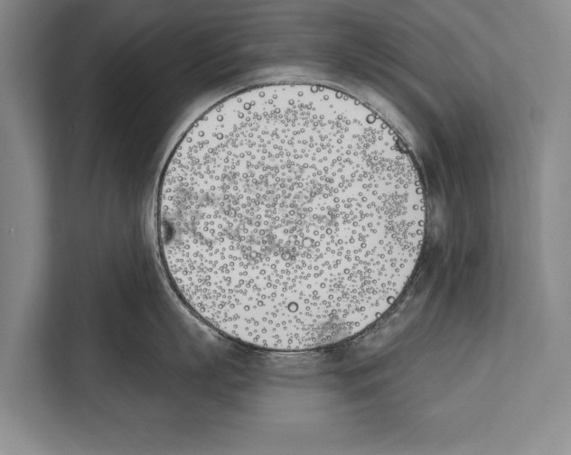 X0000112180863200909181432