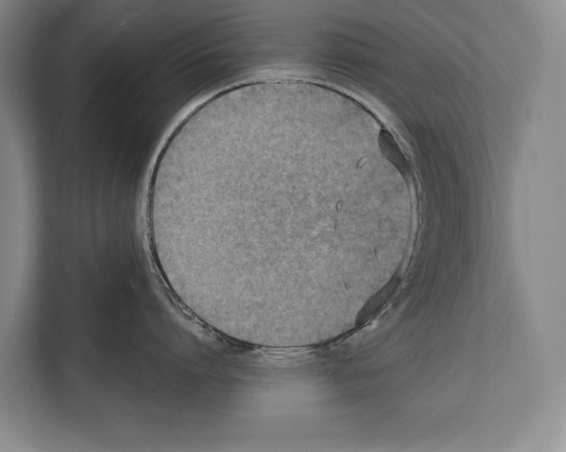 X0000112180864200909181432