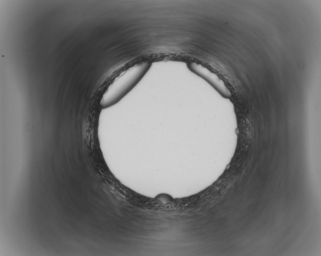 X0000112180872200909181431