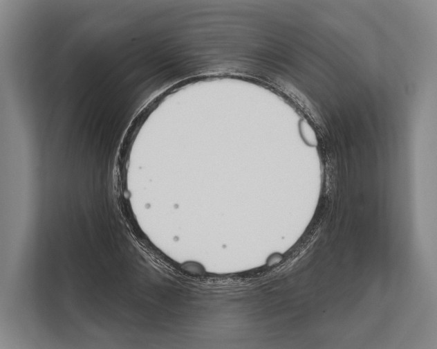 X0000112180876200909181431