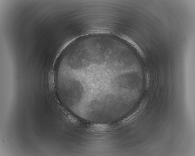 X0000112180878200909181431