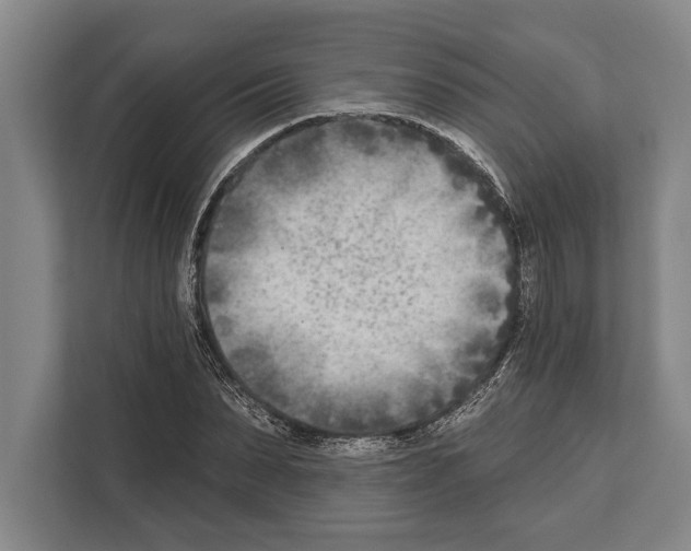 X0000112180879200909181431