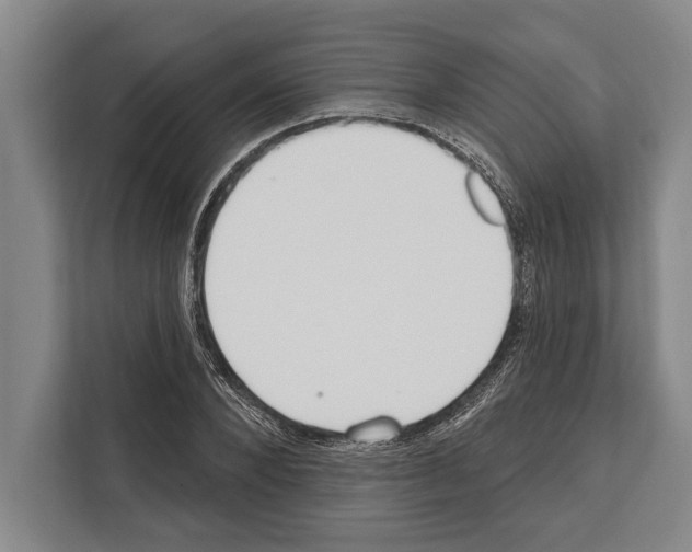 X0000112180880200909181431