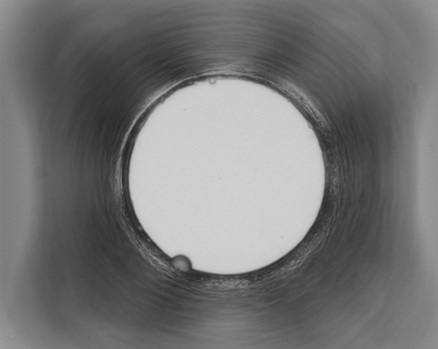 X0000112180884200909181431