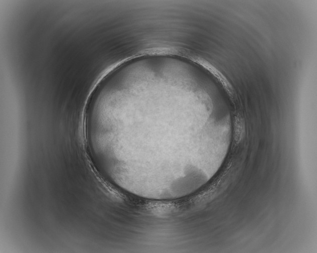 X0000112180886200909181431