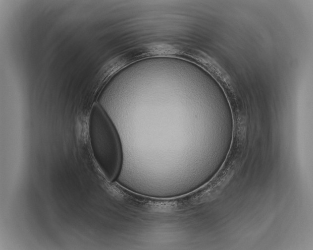 X0000112180889200909181431