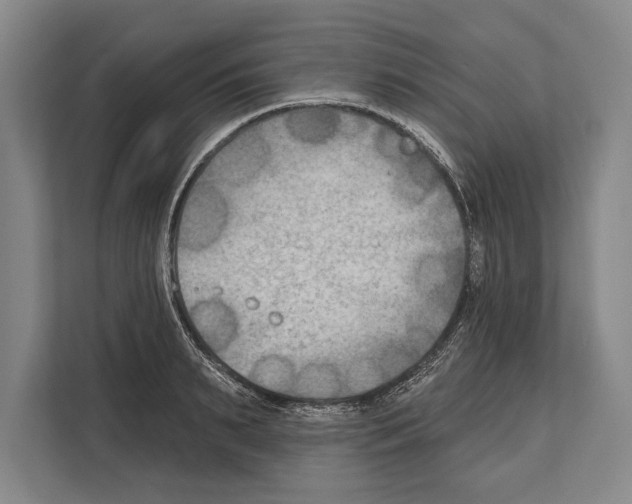 X0000112180895200909181431