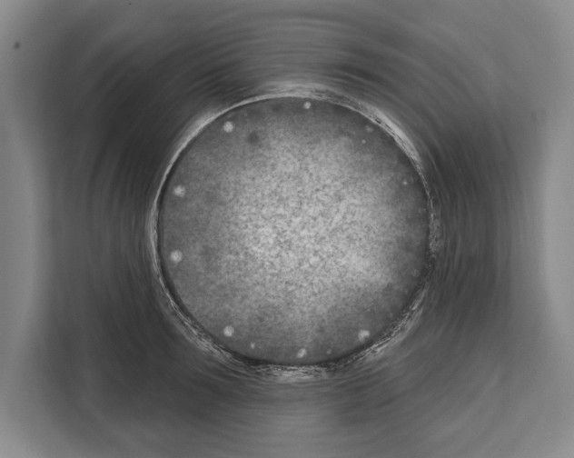 X0000112180899200909181431