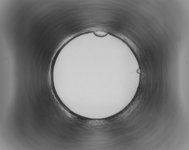 X0000112180902200909181431