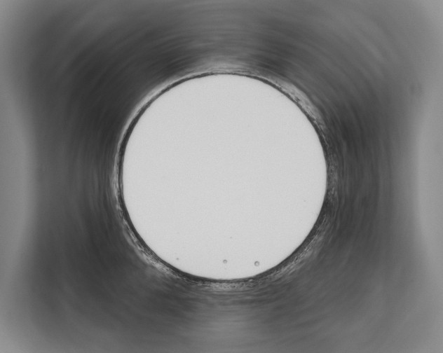 X0000112180904200909181431