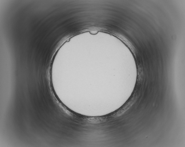 X0000112180906200909181431