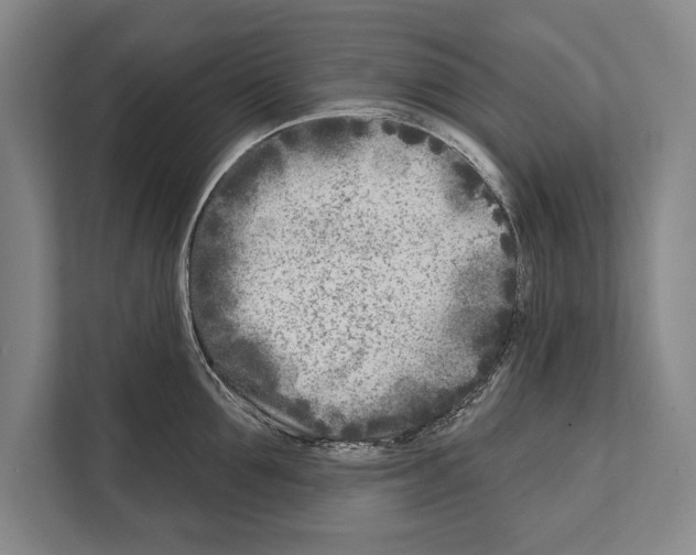 X0000112180907200909181431