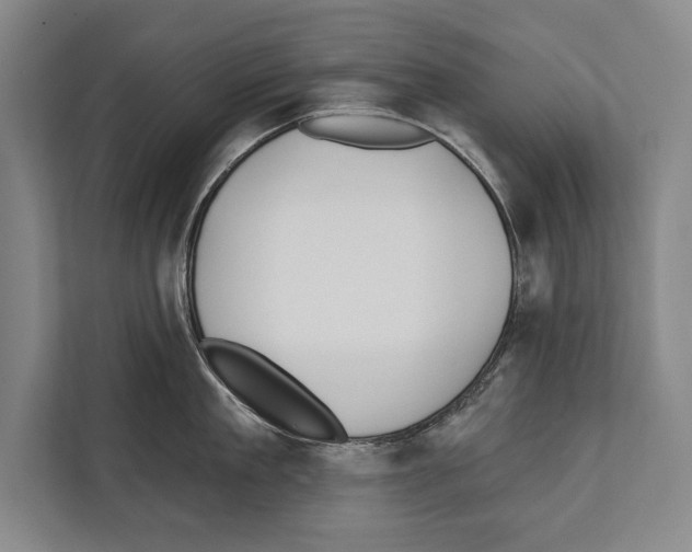 X0000112180909200909181431