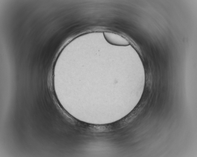 X0000112180911200909181431