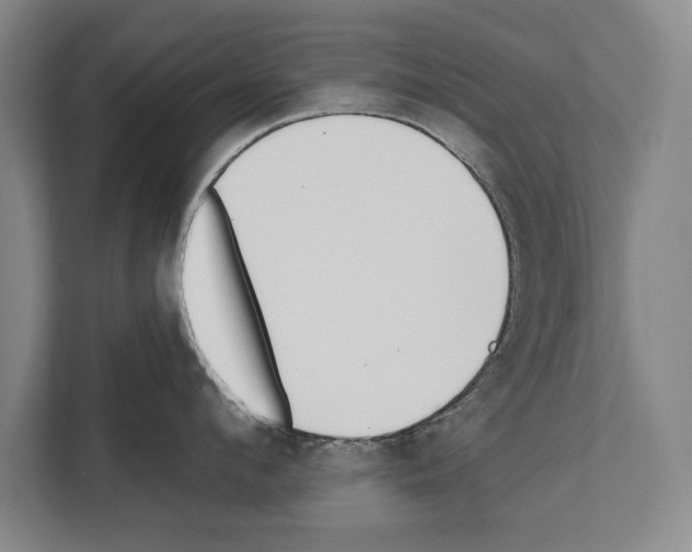 X0000112180912200909181431