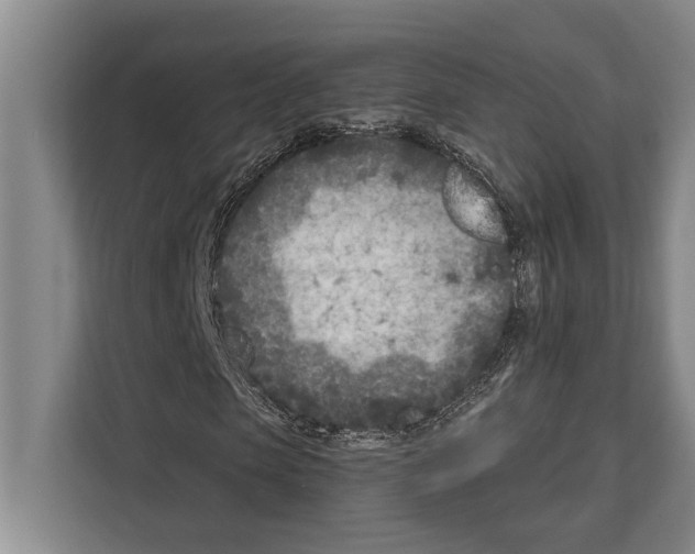 X0000112180913200909181430