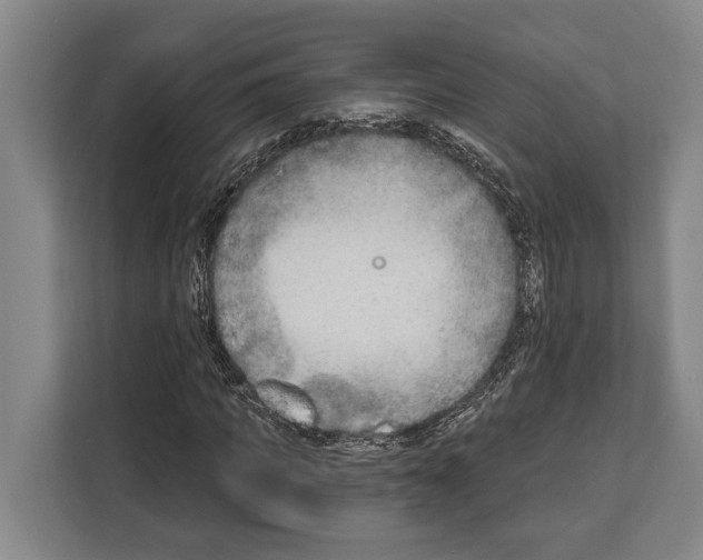 X0000112180917200909181430