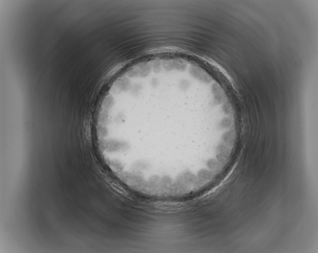 X0000112180921200909181430