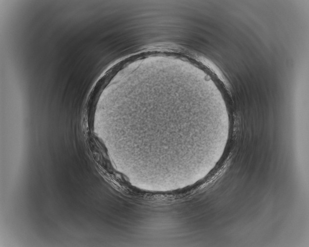 X0000112180923200909181430
