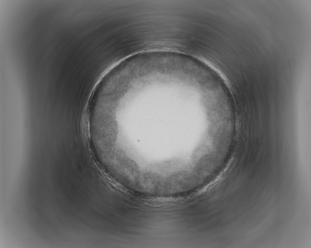 X0000112180925200909181430
